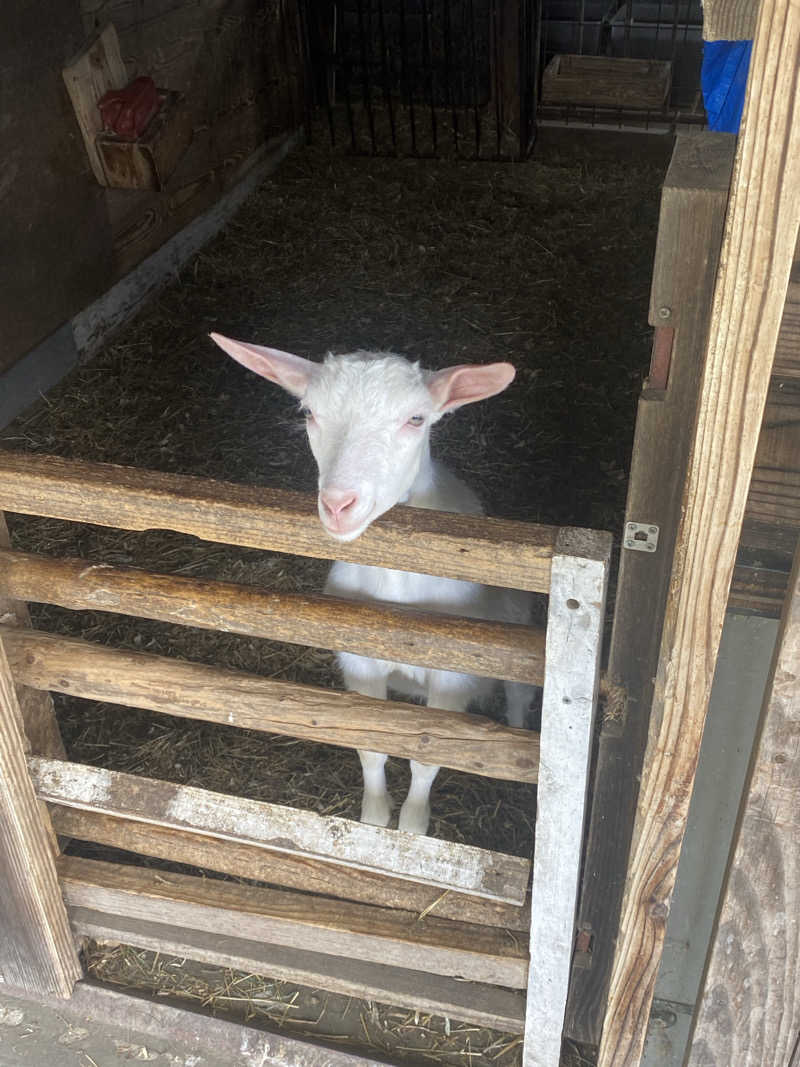 ジョージ　ダニエルさんのおおの健康の湯のサ活写真