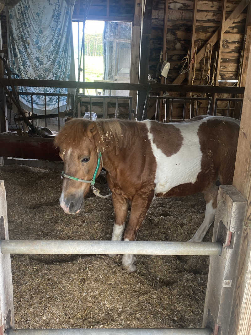 ジョージ　ダニエルさんのおおの健康の湯のサ活写真