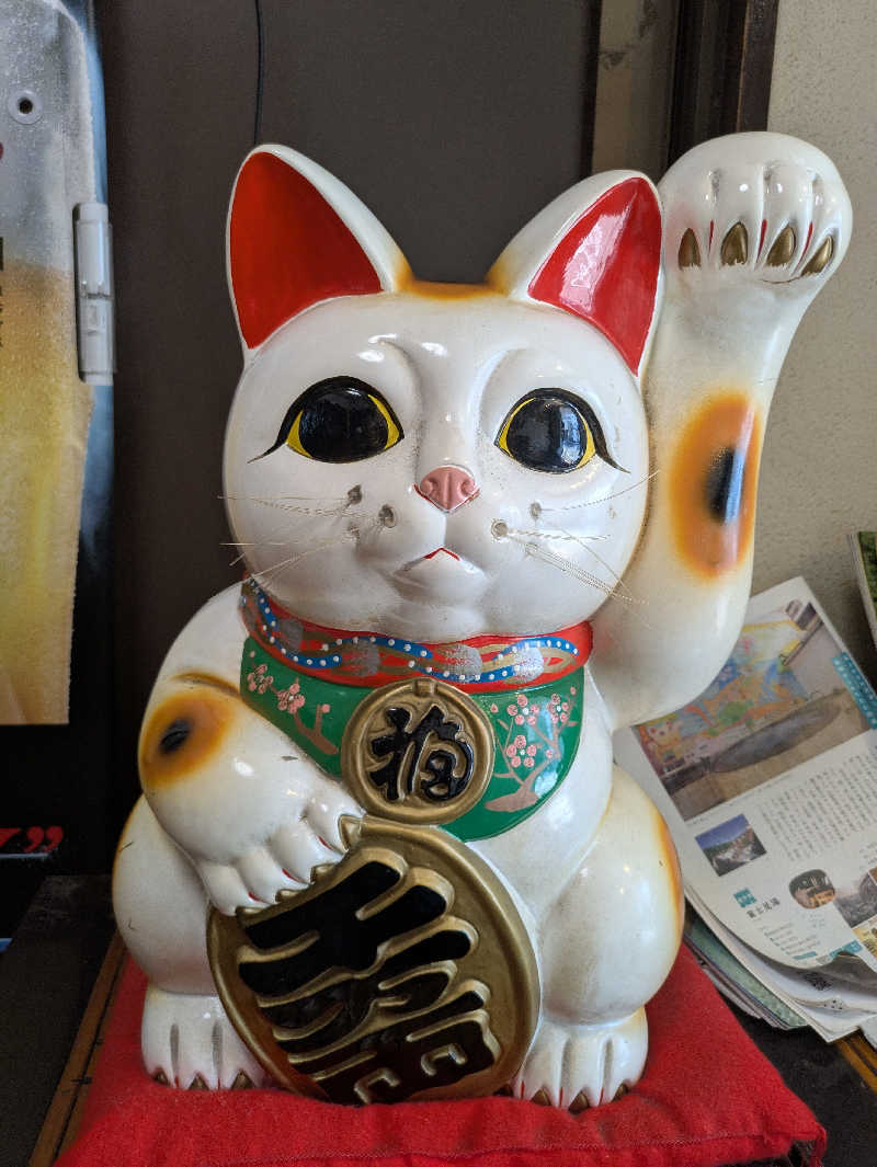 もずさんの昭島 富士見湯のサ活写真