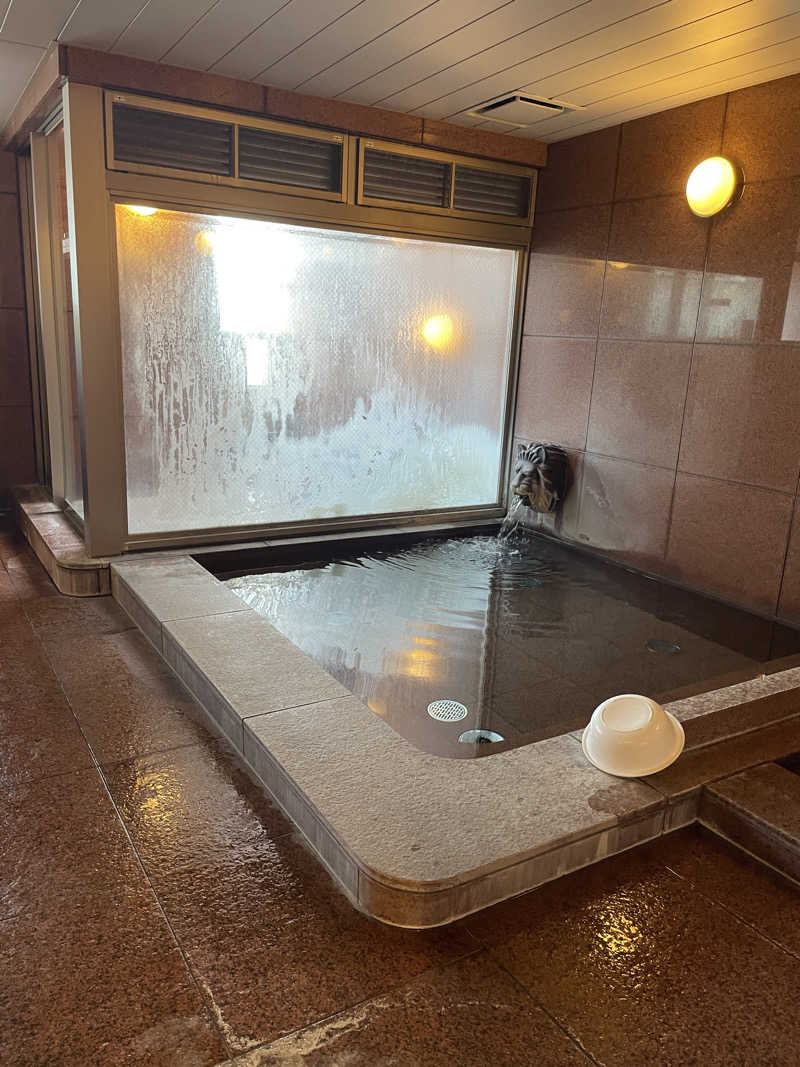 ぶいさんのホテルno.1松山のサ活写真