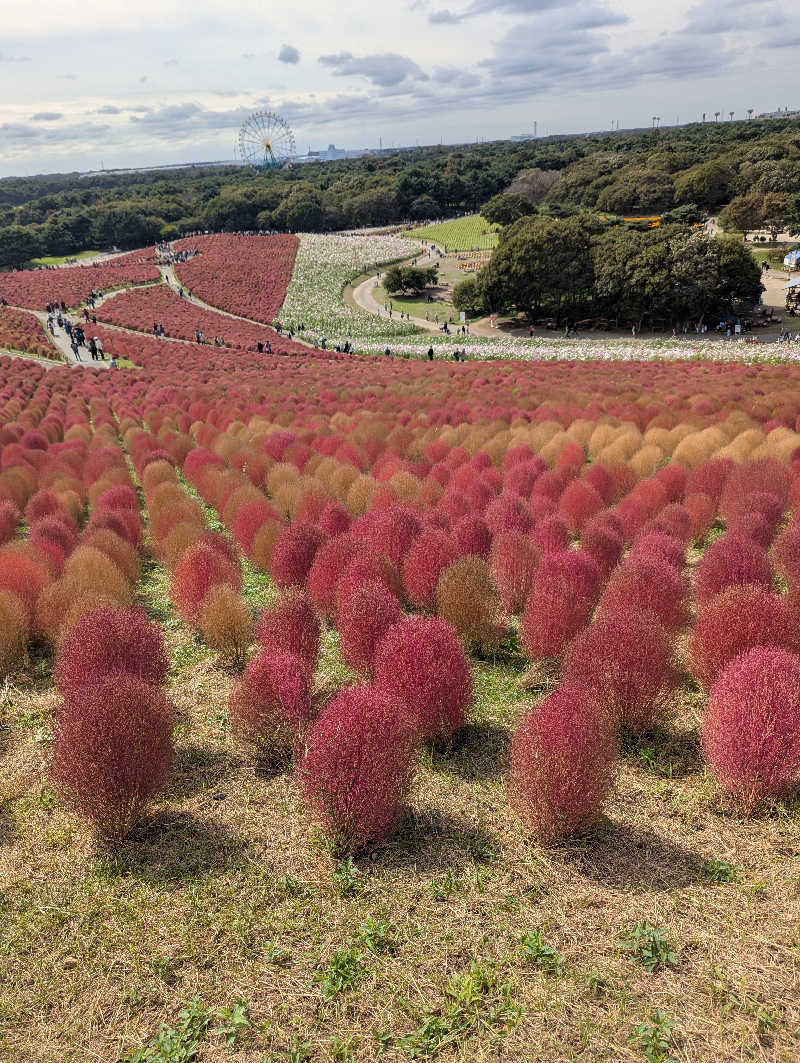 おかさんのさくら湯のサ活写真