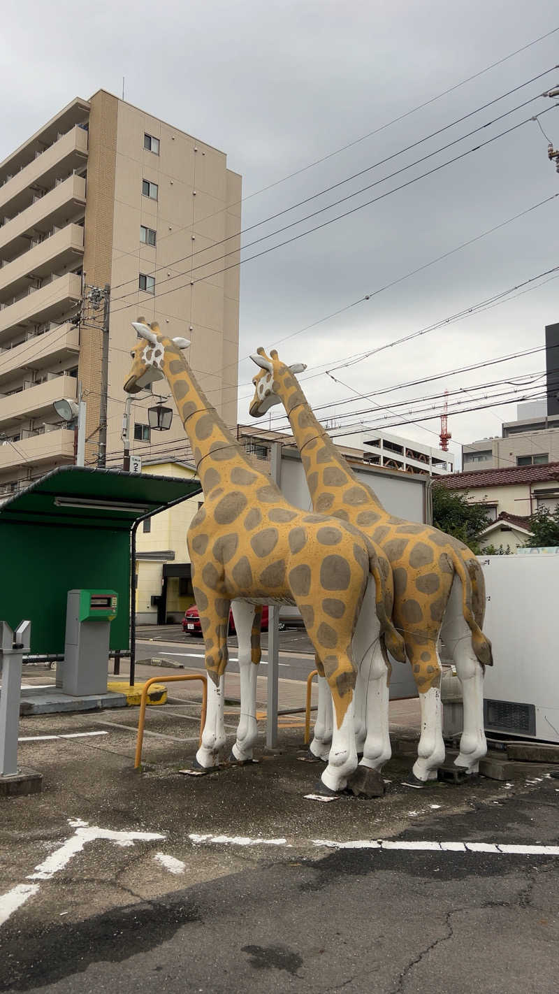 ハイボール太郎さんのウェルビー今池のサ活写真