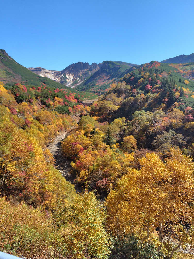 ミズカさんの十勝岳温泉 凌雲閣のサ活写真