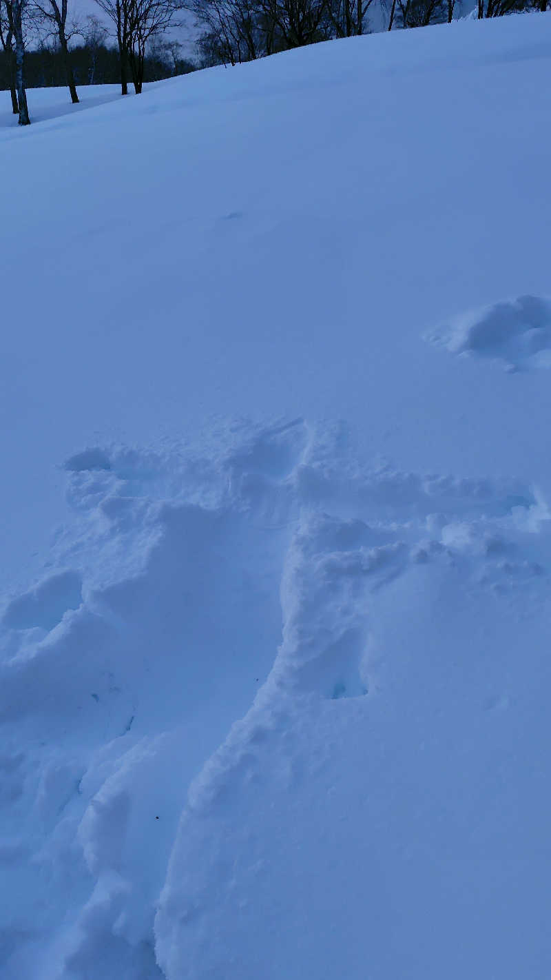 ミズカさんの冬のテントサウナ「SNOWY」in 北広島のサ活写真