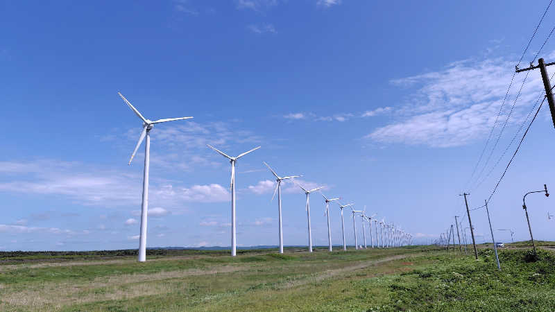 ミズカさんの旭温泉のサ活写真