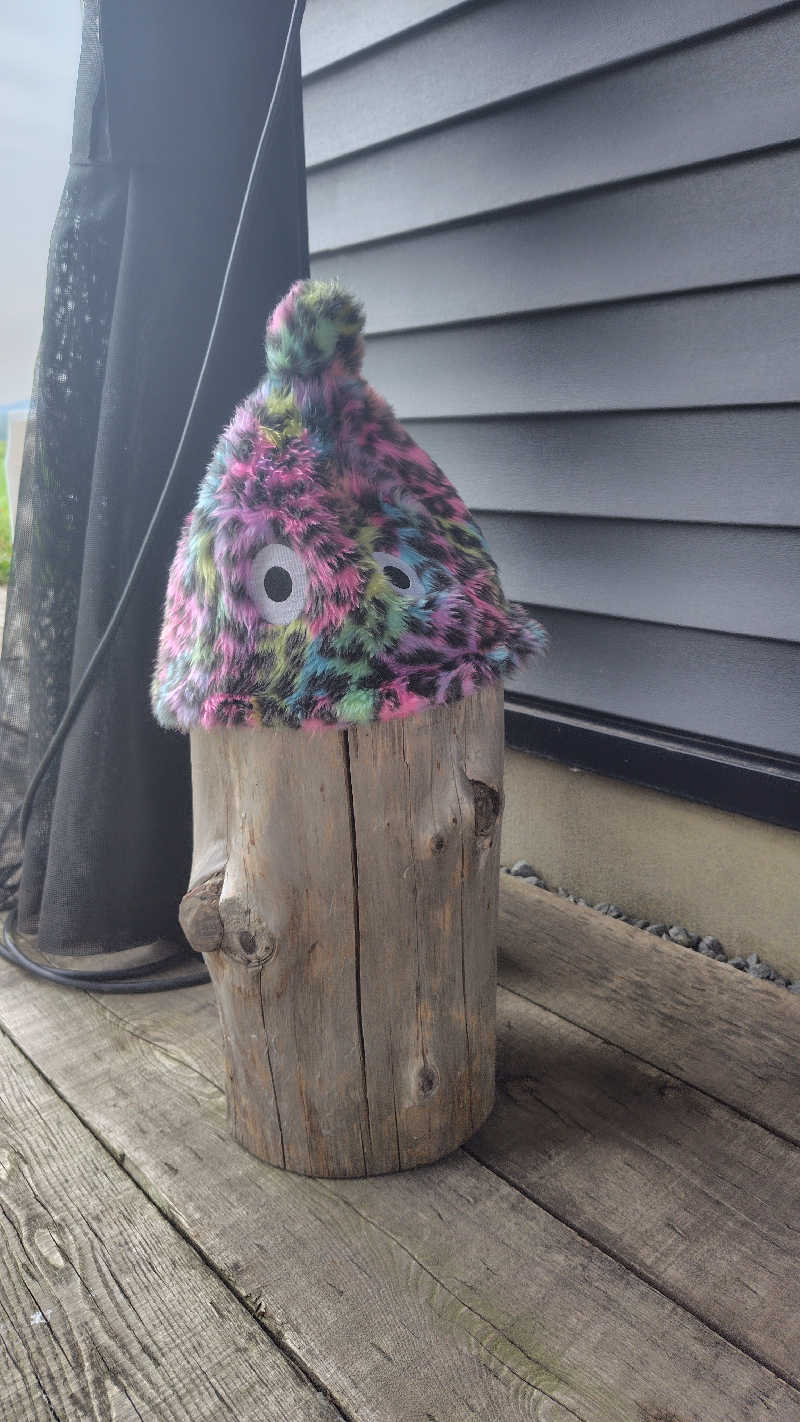 ミズカさんのKoti Private SAUNA Cottageのサ活写真