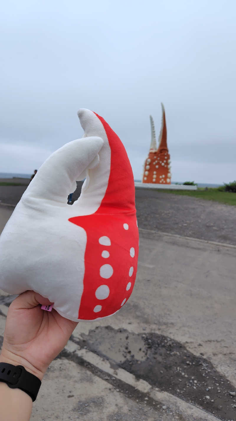 ミズカさんのホテルニュー幸林のサ活写真