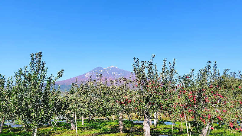 ミズカさんのアソベの森 いわき荘のサ活写真
