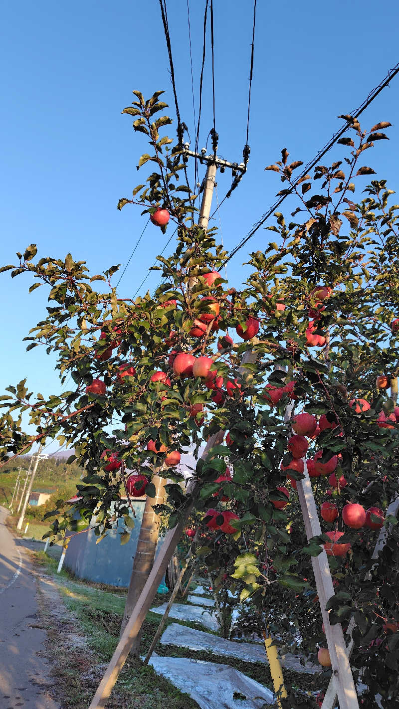 ミズカさんのアソベの森 いわき荘のサ活写真