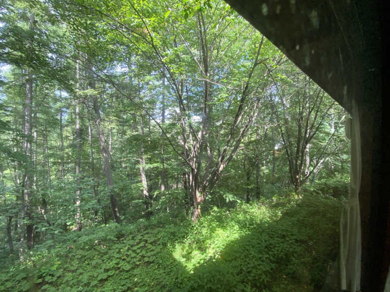 けんじろーくんさんのアソビーバ ナガノパークのサ活写真