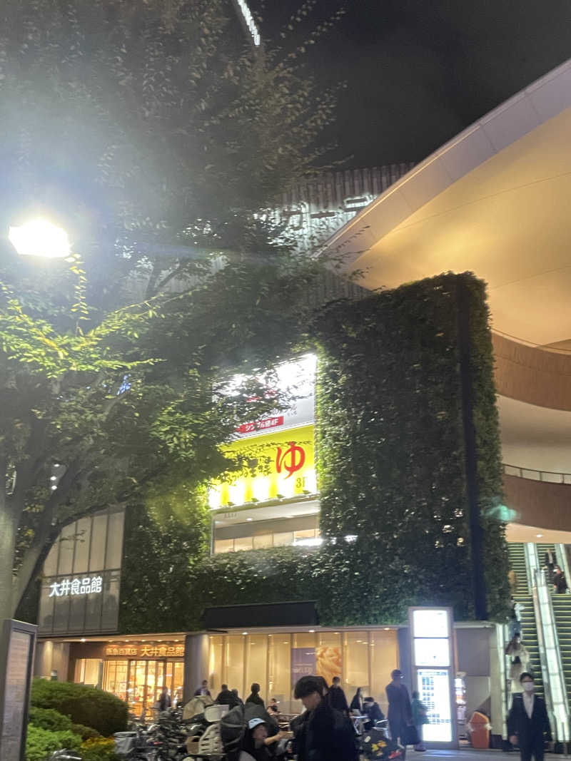 ホオズキボウシ＠  サウナハットさんのおふろの王様 大井町店のサ活写真