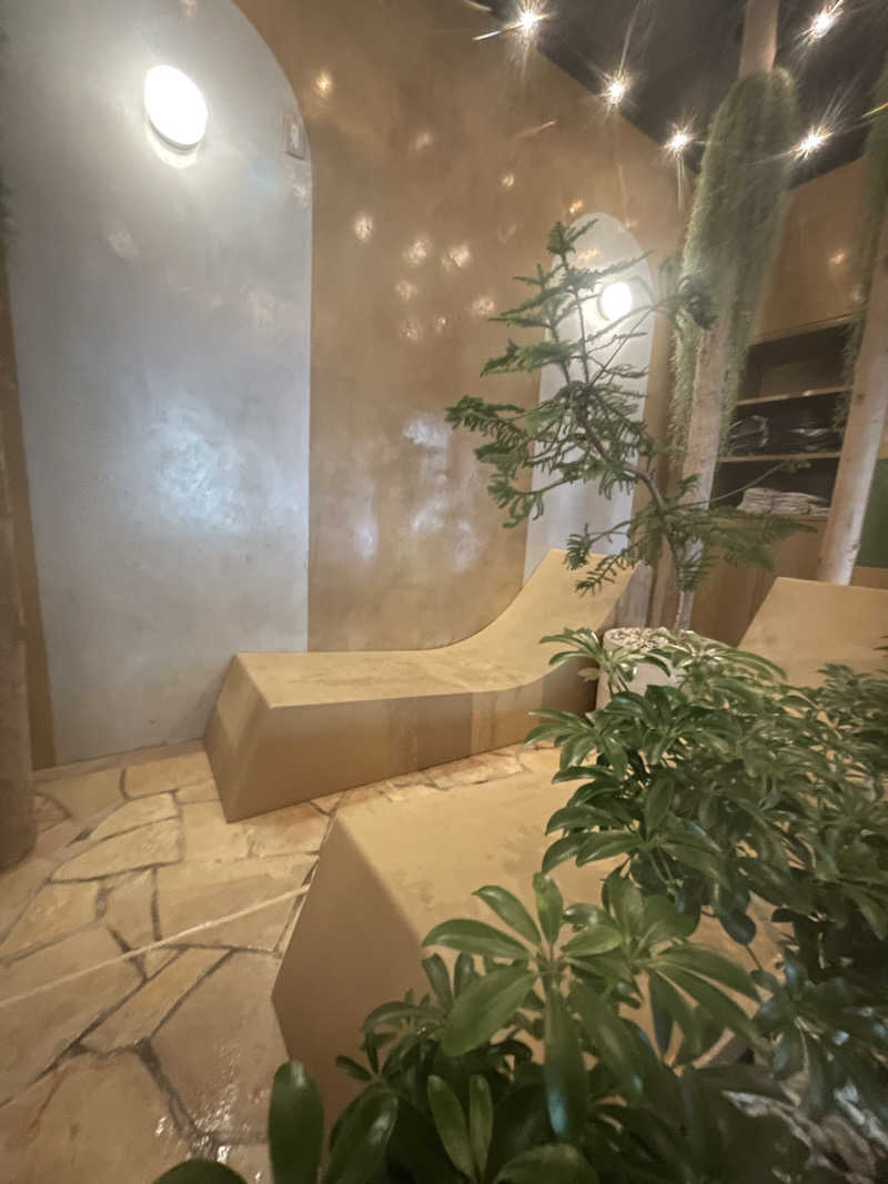 ホオズキボウシ＠  サウナハットさんの豊島園 庭の湯のサ活写真