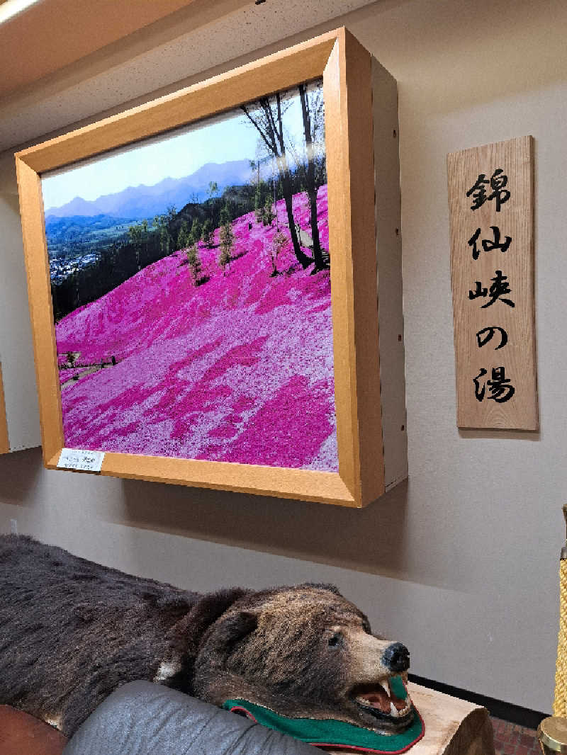 ベイダーさんのたきのうえホテル渓谷のサ活写真