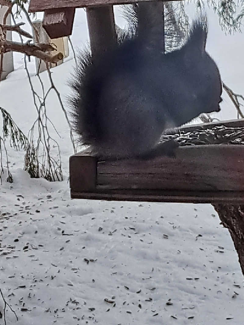 ベイダーさんの北天の丘 あばしり湖鶴雅リゾートのサ活写真