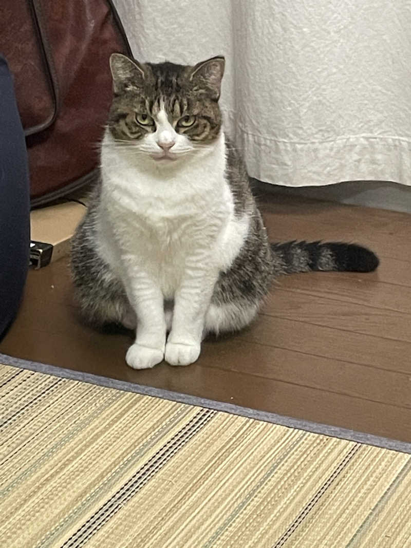 captain877さんのゆのゆ TOYOHASHIのサ活写真