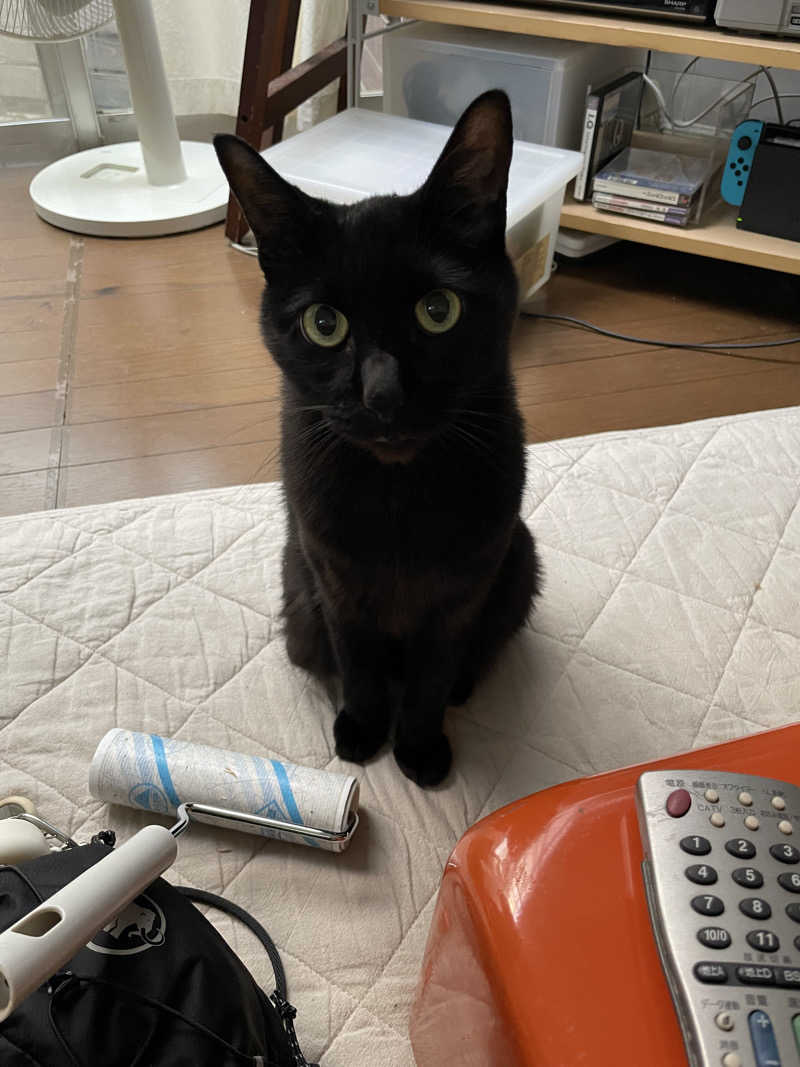 captain877さんのゆのゆ TOYOHASHIのサ活写真