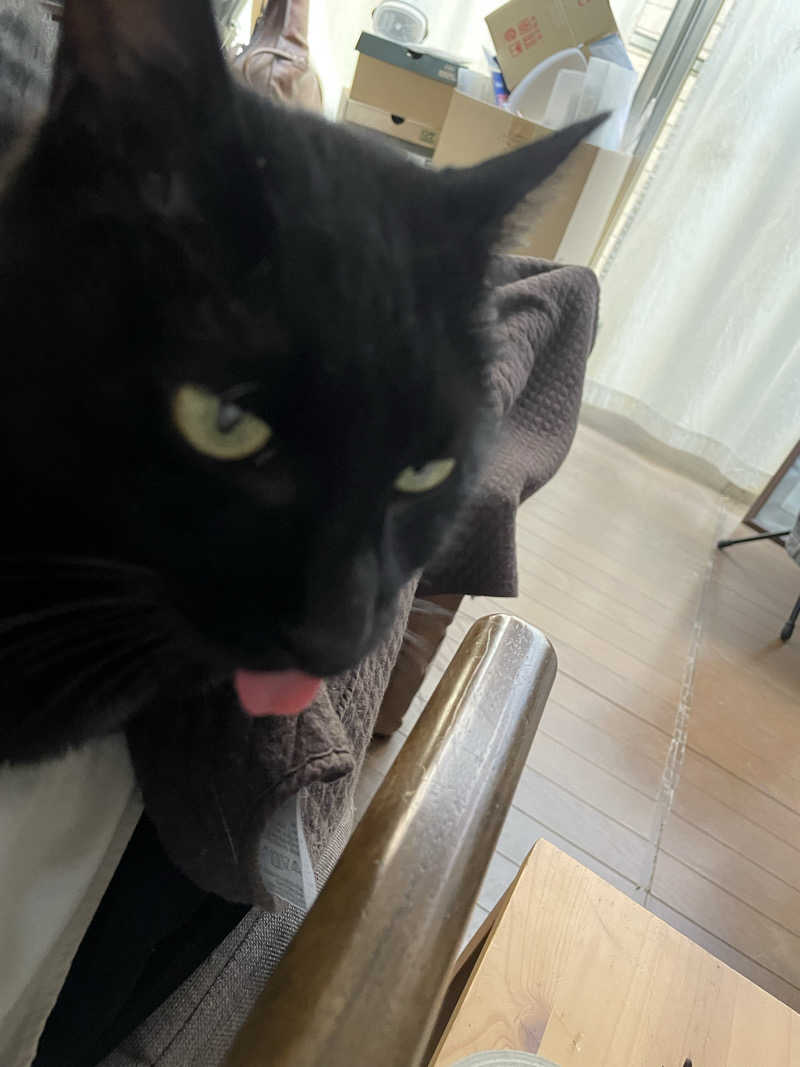 captain877さんの極楽湯 豊橋店のサ活写真