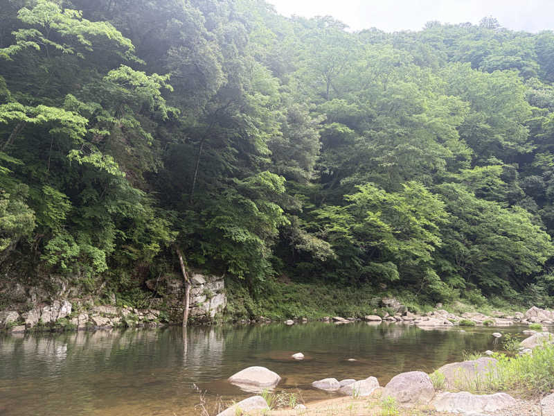 しごらさんの茶ウナCAMPのサ活写真