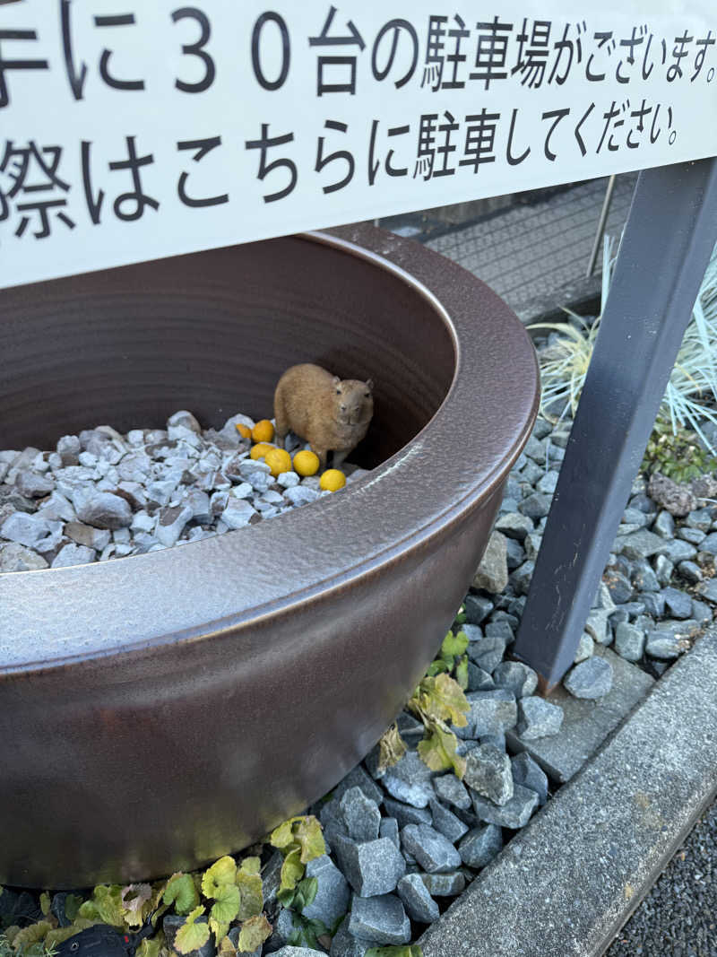 ニックさんの富士山天然水SPA サウナ鷹の湯のサ活写真