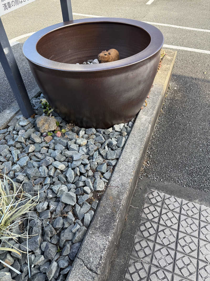 ニックさんの富士山天然水SPA サウナ鷹の湯のサ活写真