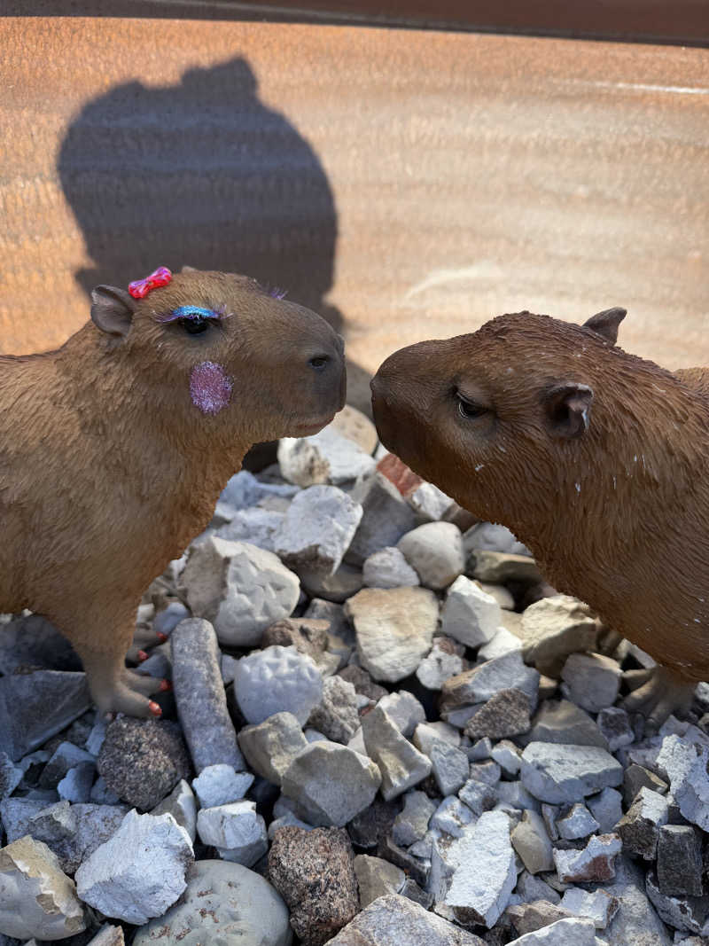 ニックさんの富士山天然水SPA サウナ鷹の湯のサ活写真