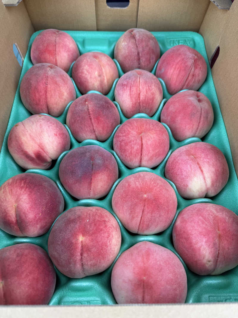 ニックさんの富士山天然水SPA サウナ鷹の湯のサ活写真