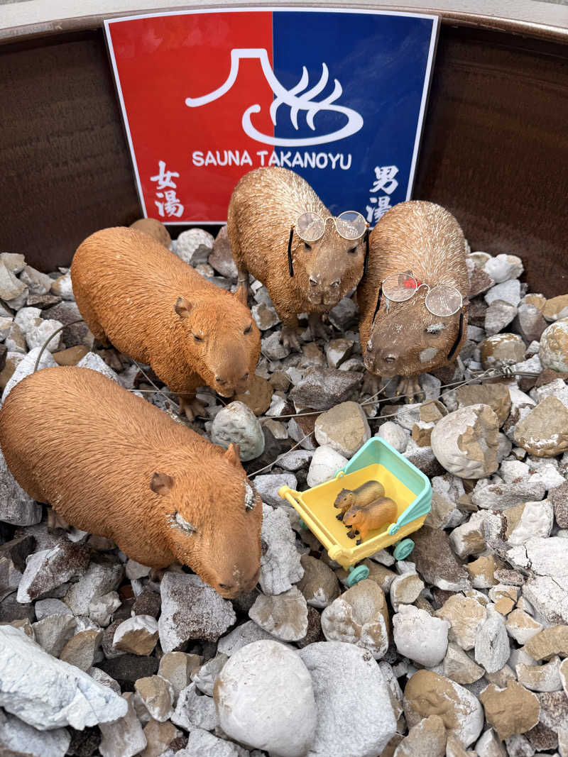 ニックさんの富士山天然水SPA サウナ鷹の湯のサ活写真