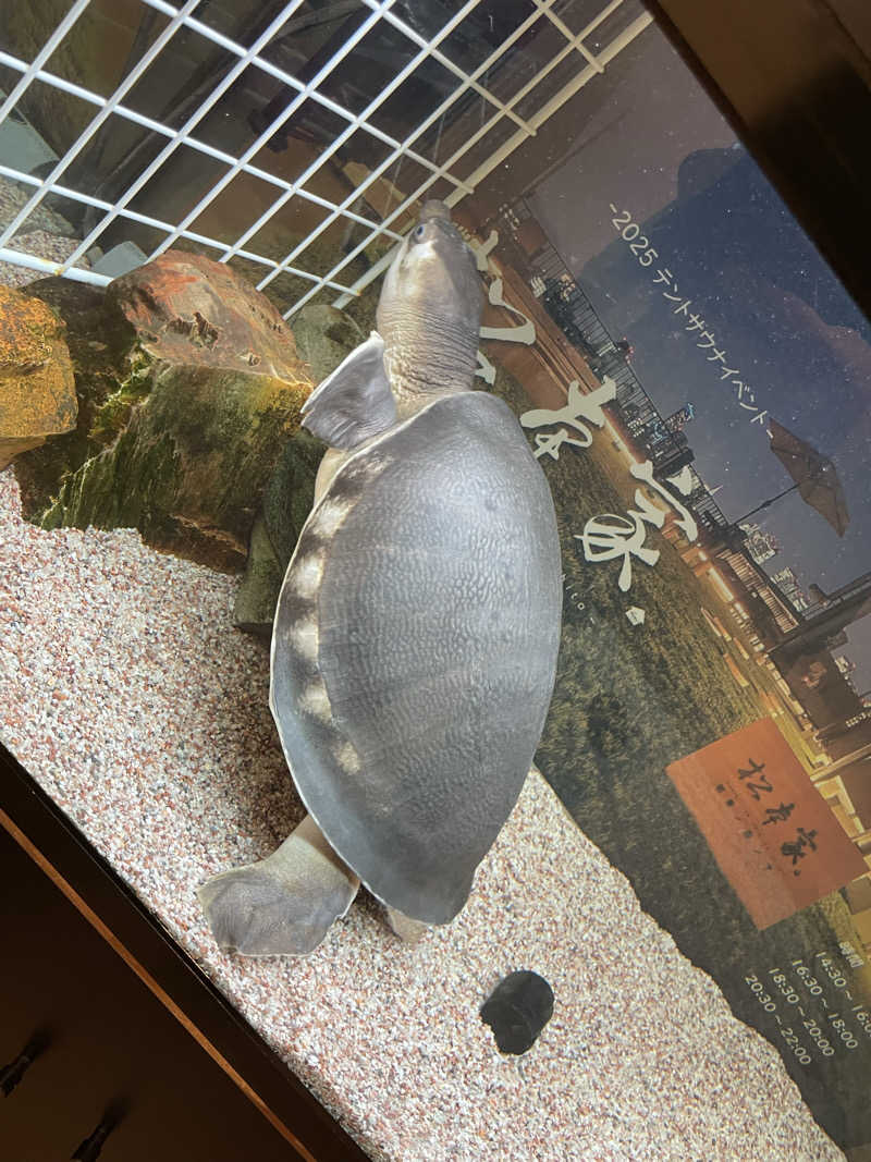 能登の旅人さんの松本湯のサ活写真