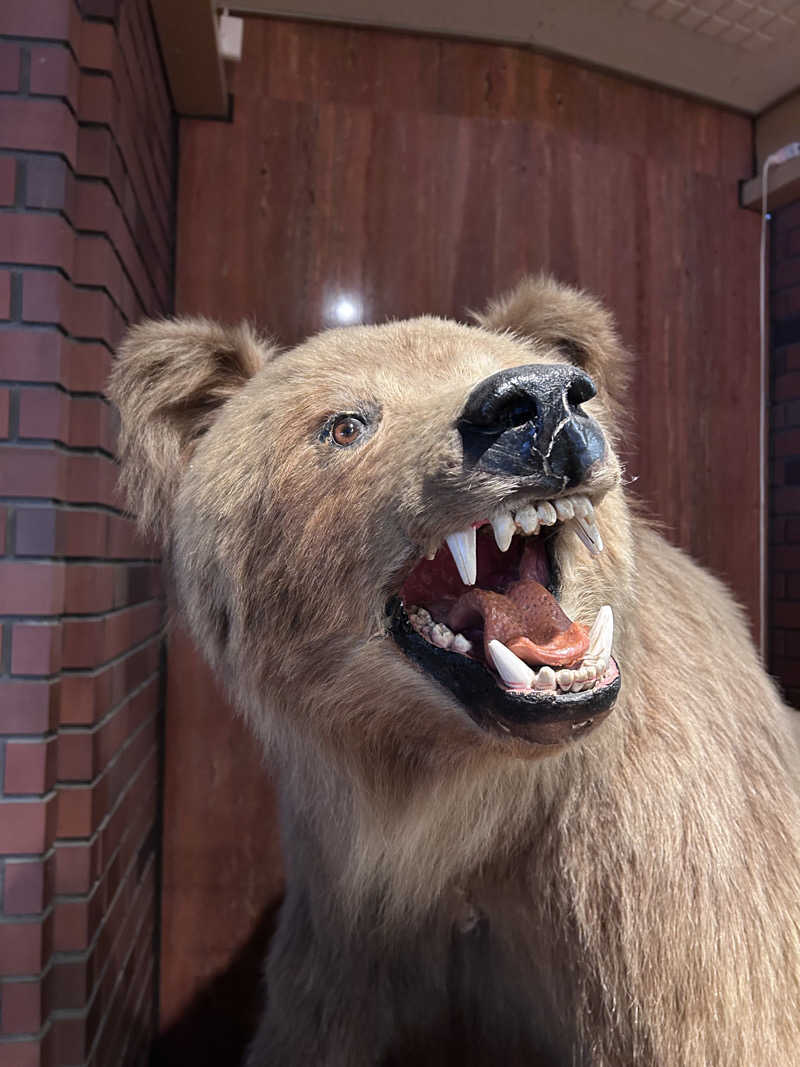 ろくさんのホテル大雪 ONSEN & CANYON  RESORTのサ活写真