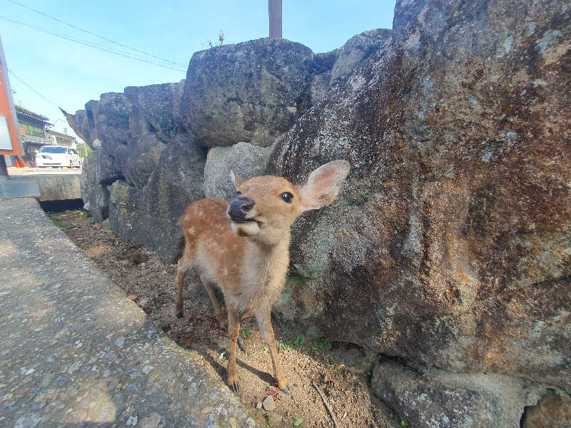 サウナーフジさんの宇治天然温泉 源氏の湯のサ活写真