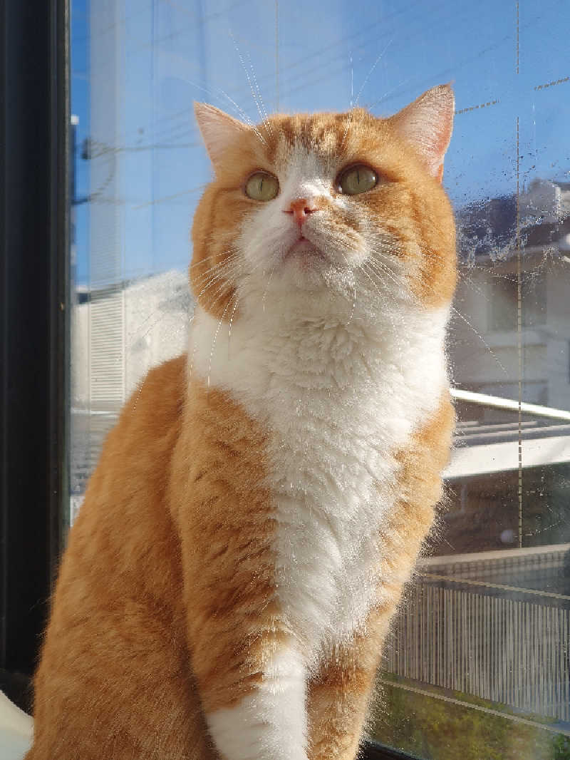 サウナーフジさんの曽爾高原温泉 お亀の湯のサ活写真