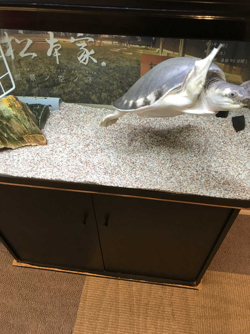 日比野晋作さんの松本湯のサ活写真