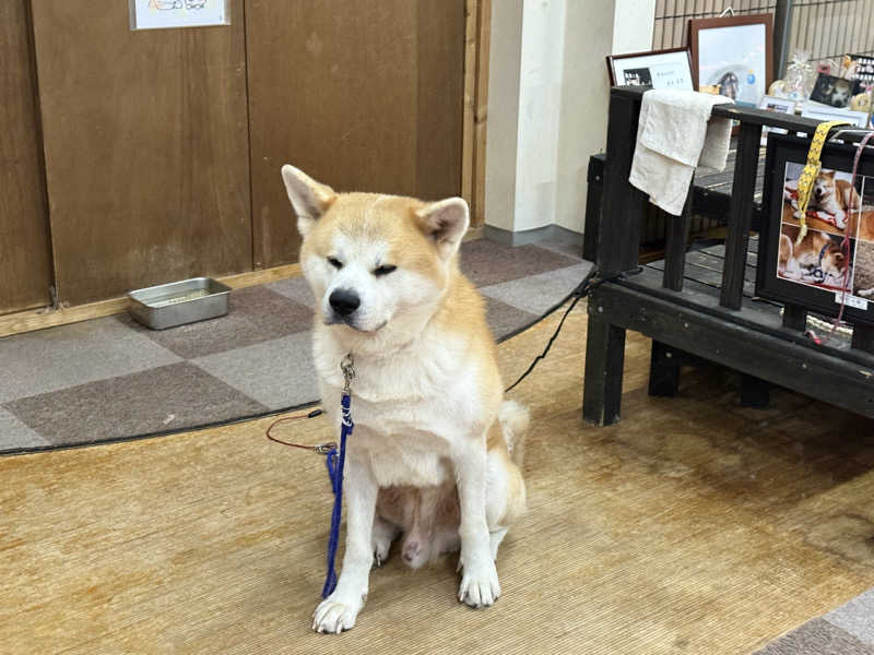 秋田営業マンさんのからまつ山荘・東兵衛温泉のサ活写真
