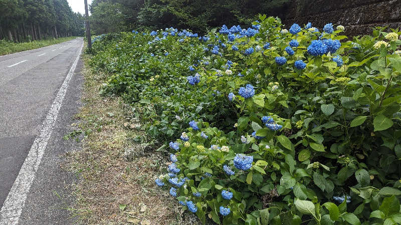 ハイネス親方さんの川口温泉 奥羽山荘のサ活写真