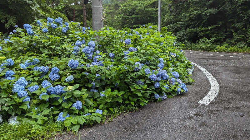 ハイネス親方さんの川口温泉 奥羽山荘のサ活写真