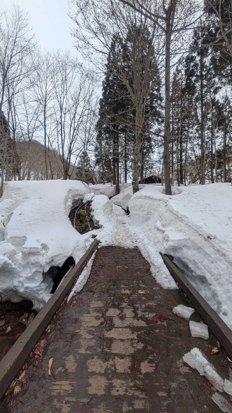 サウナマハゲたぬ吉さんの乳頭温泉郷 孫六温泉 六庵のサ活写真