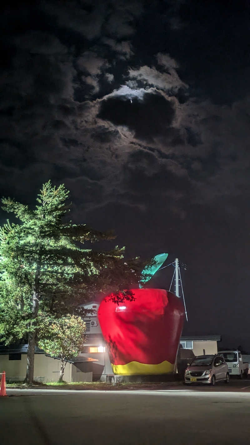 サウナマハゲ親方さんの横手市平鹿ときめき交流センターゆっぷるのサ活写真