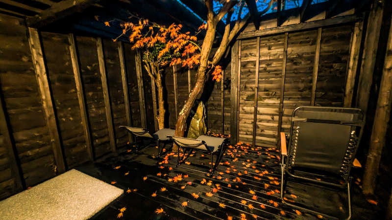 サウナマハゲたぬきさんの蔵サウナと文化財の宿 森長のサ活写真