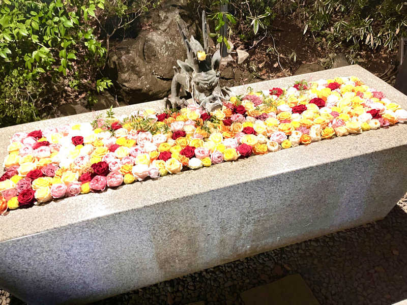 サウナー20240203さんのよみうりランド眺望温泉 花景の湯のサ活写真