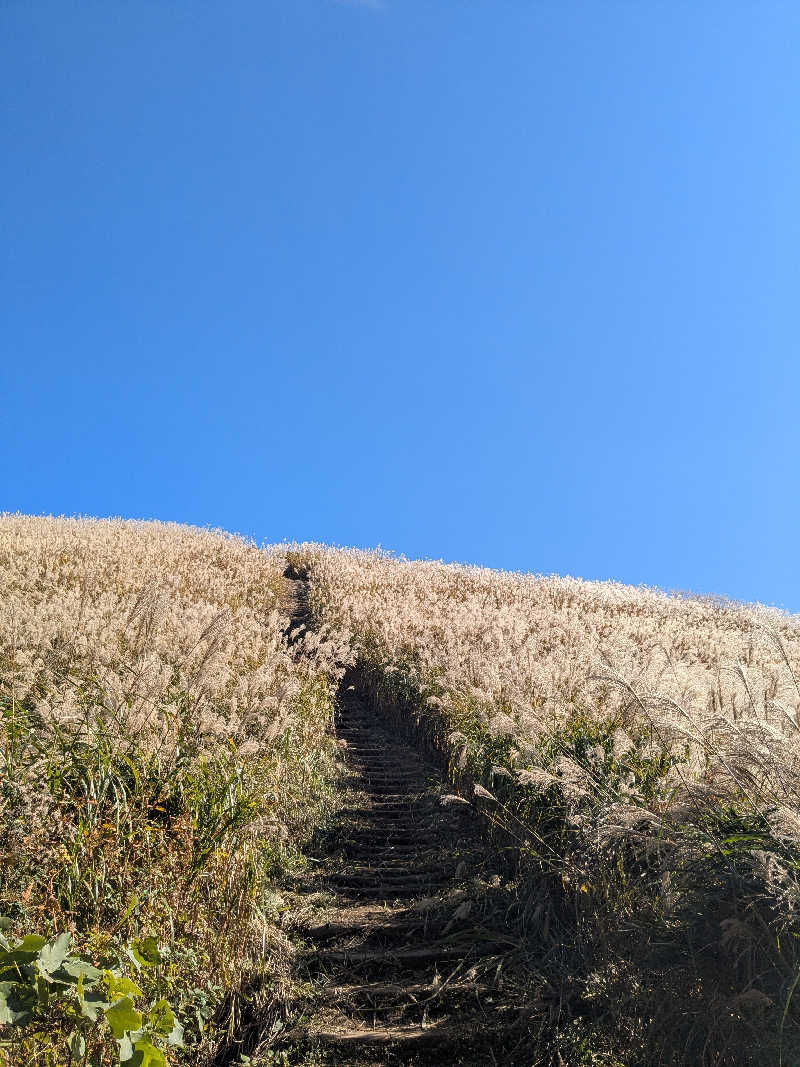 炭酸泉弱しゅんしゅんさんの風の湯 河内長野店のサ活写真