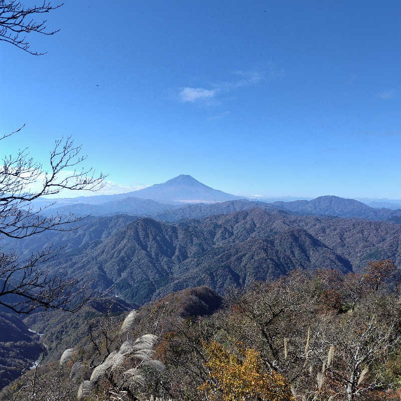 蒸豚Z🐷さんの山北町健康福祉センター さくらの湯のサ活写真