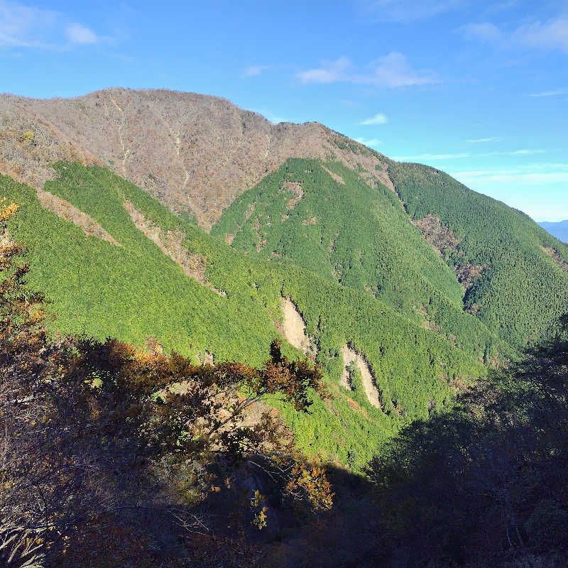 蒸豚Z🐷さんの山北町健康福祉センター さくらの湯のサ活写真