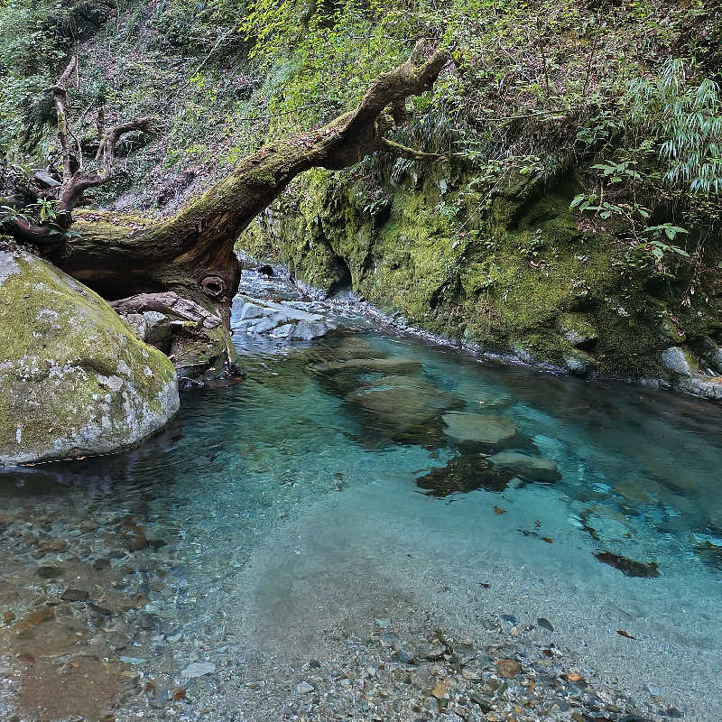 蒸豚Z🐷さんの山北町健康福祉センター さくらの湯のサ活写真