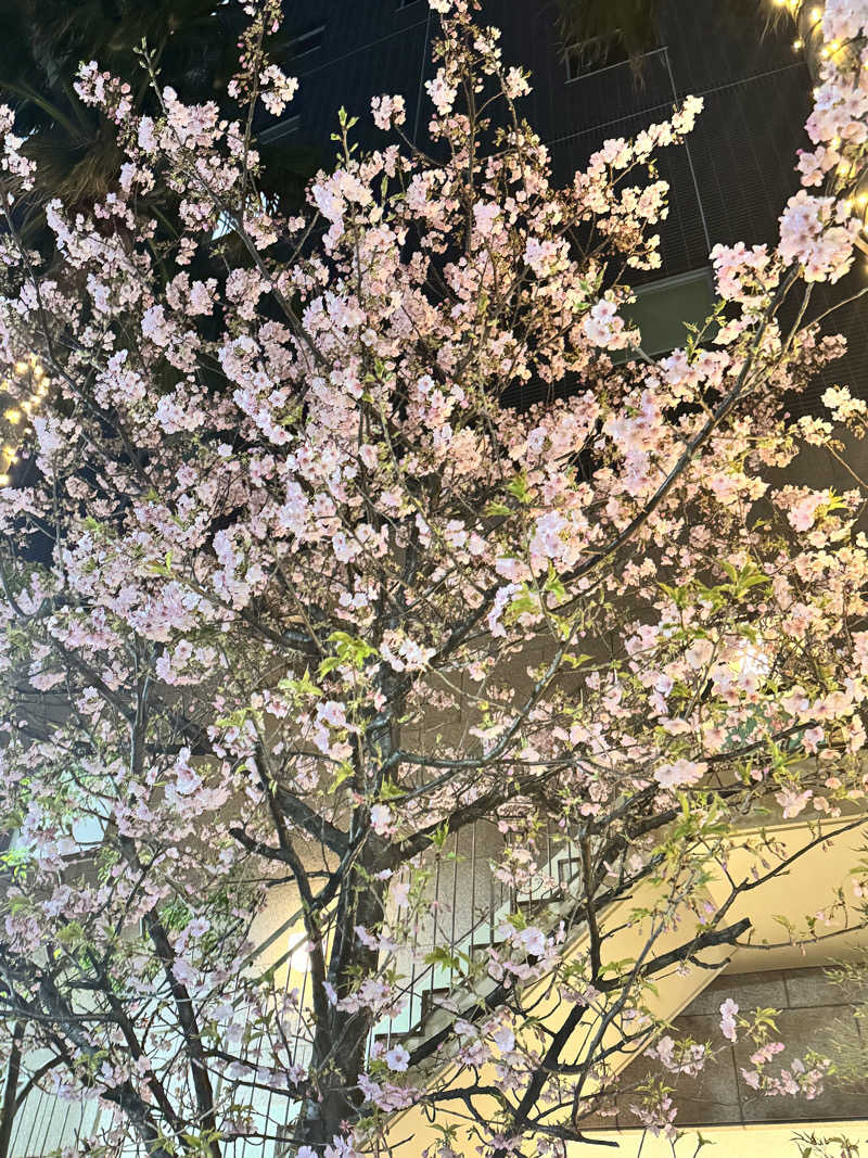 たけゆたかさんのスパ&ホテル 舞浜ユーラシアのサ活写真