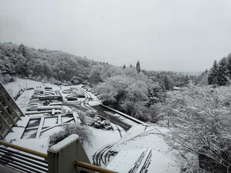 ヤスさんの湯田上温泉  ホテル小柳 (oyanagi)のサ活写真