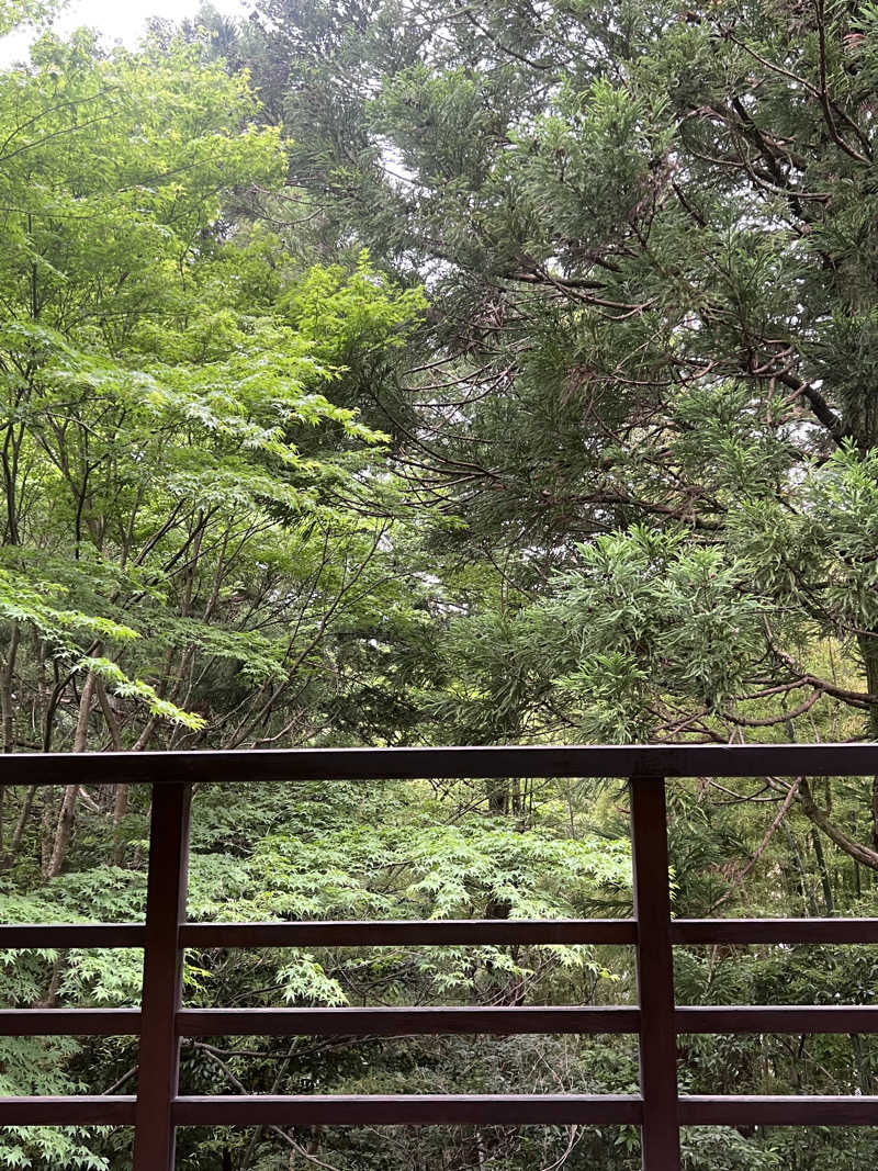 いとも簡単整い太郎さんの箱根小涌谷温泉 水の音のサ活写真