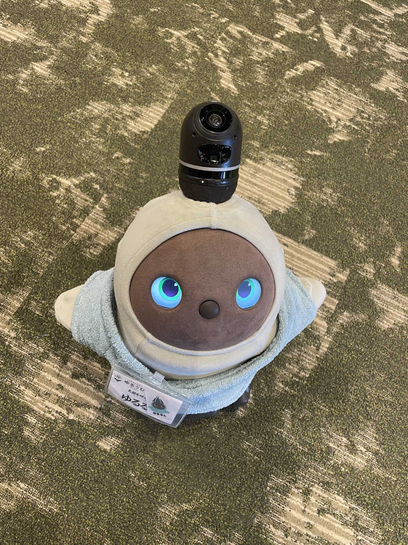 ハチワレちゃんさんのSPA&ごはん ゆるうむ yuluumuのサ活写真