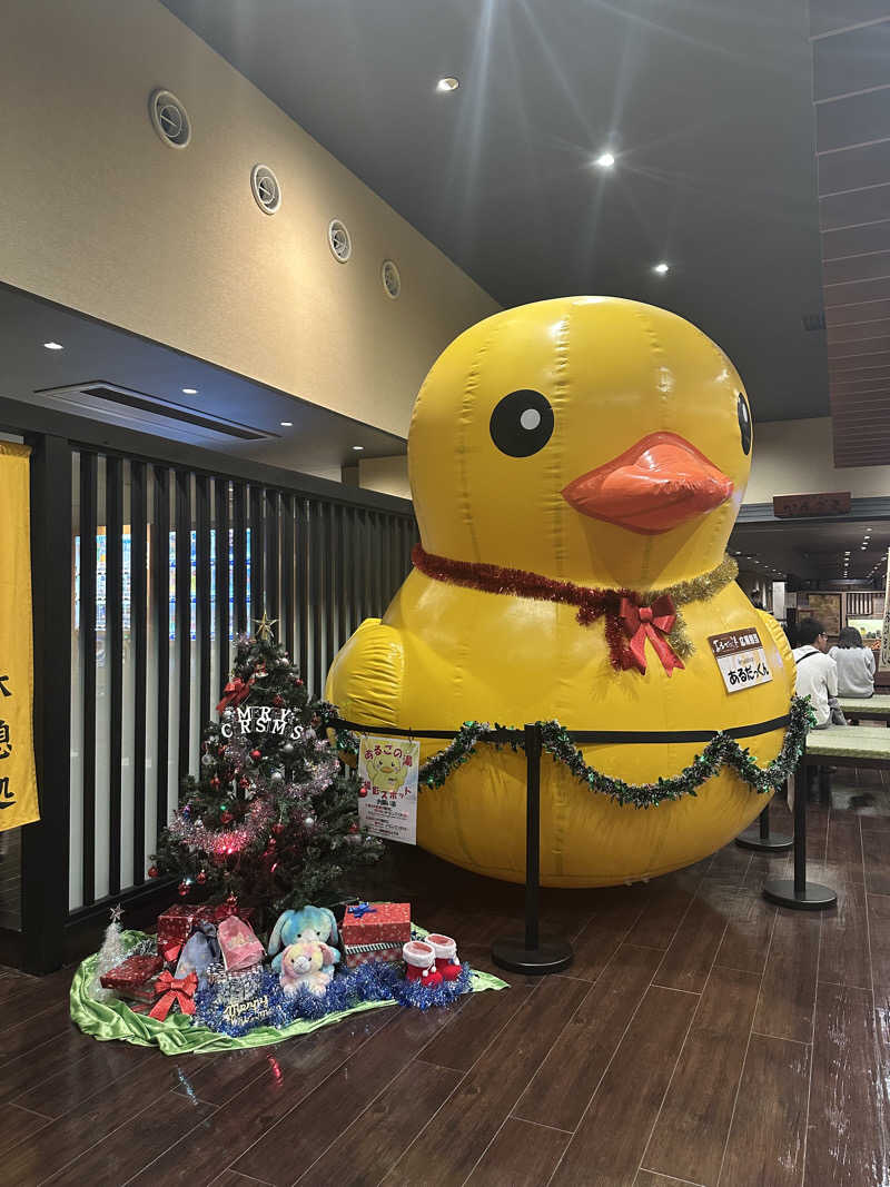 ゆ う みさんの神州温泉 あるごの湯のサ活写真