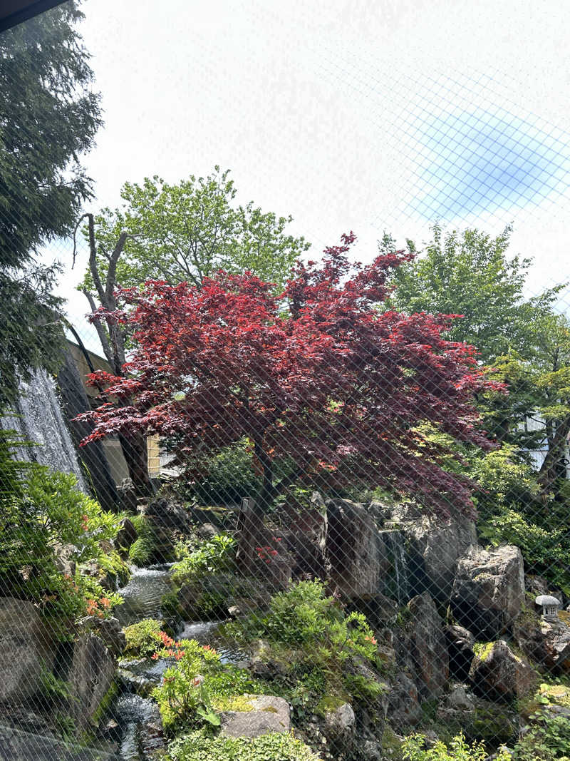 サウナーなりたて（3年以上経過）さんの和風旅館扇松園のサ活写真