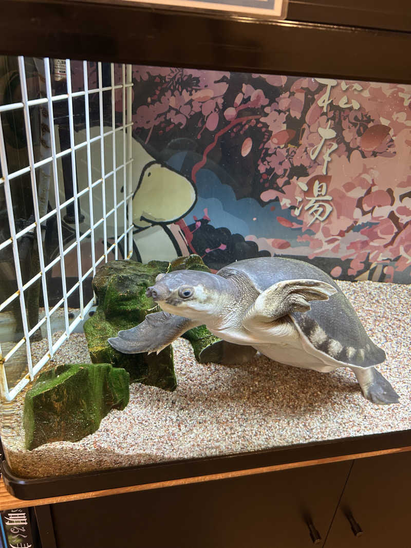 ren-newさんの松本湯のサ活写真